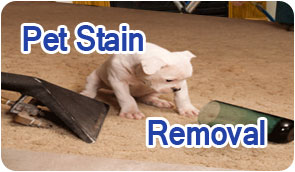 carpet-stain-removal